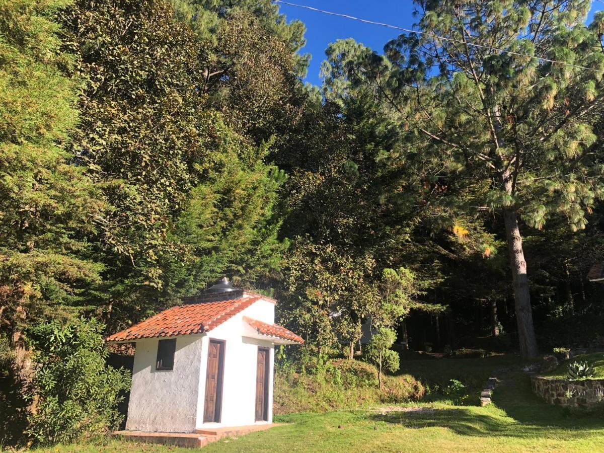 Hotel Gaia Nature San Cristóbal de Las Casas Esterno foto