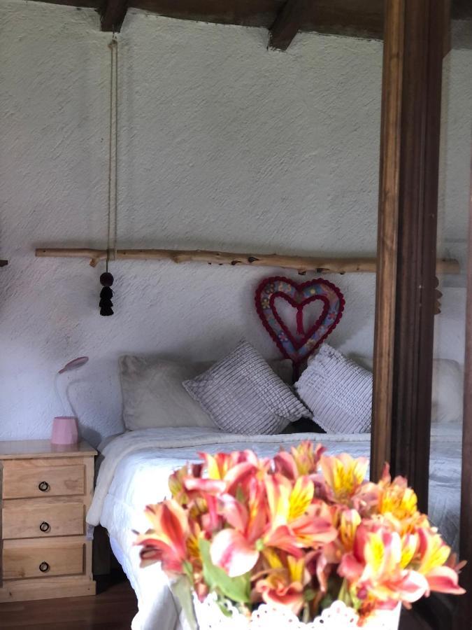 Hotel Gaia Nature San Cristóbal de Las Casas Esterno foto
