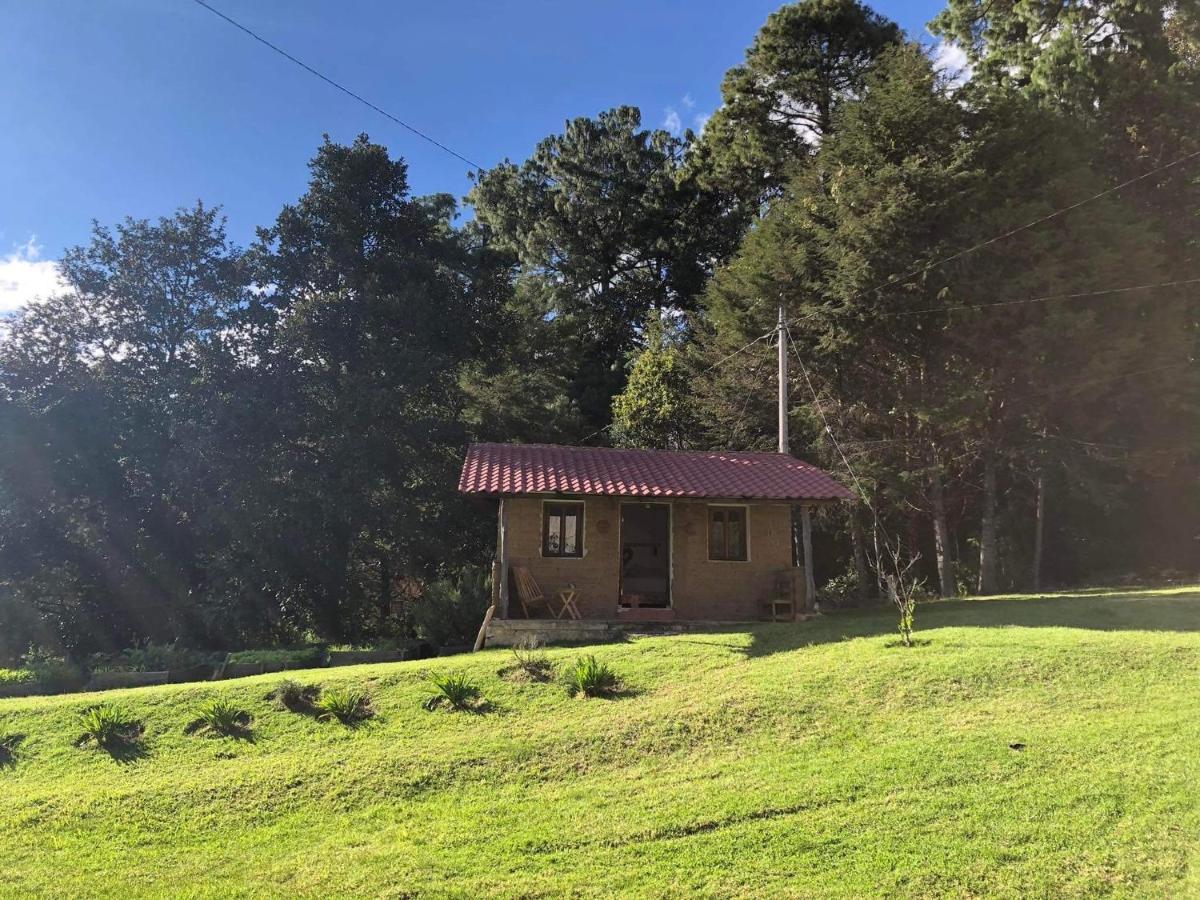 Hotel Gaia Nature San Cristóbal de Las Casas Esterno foto