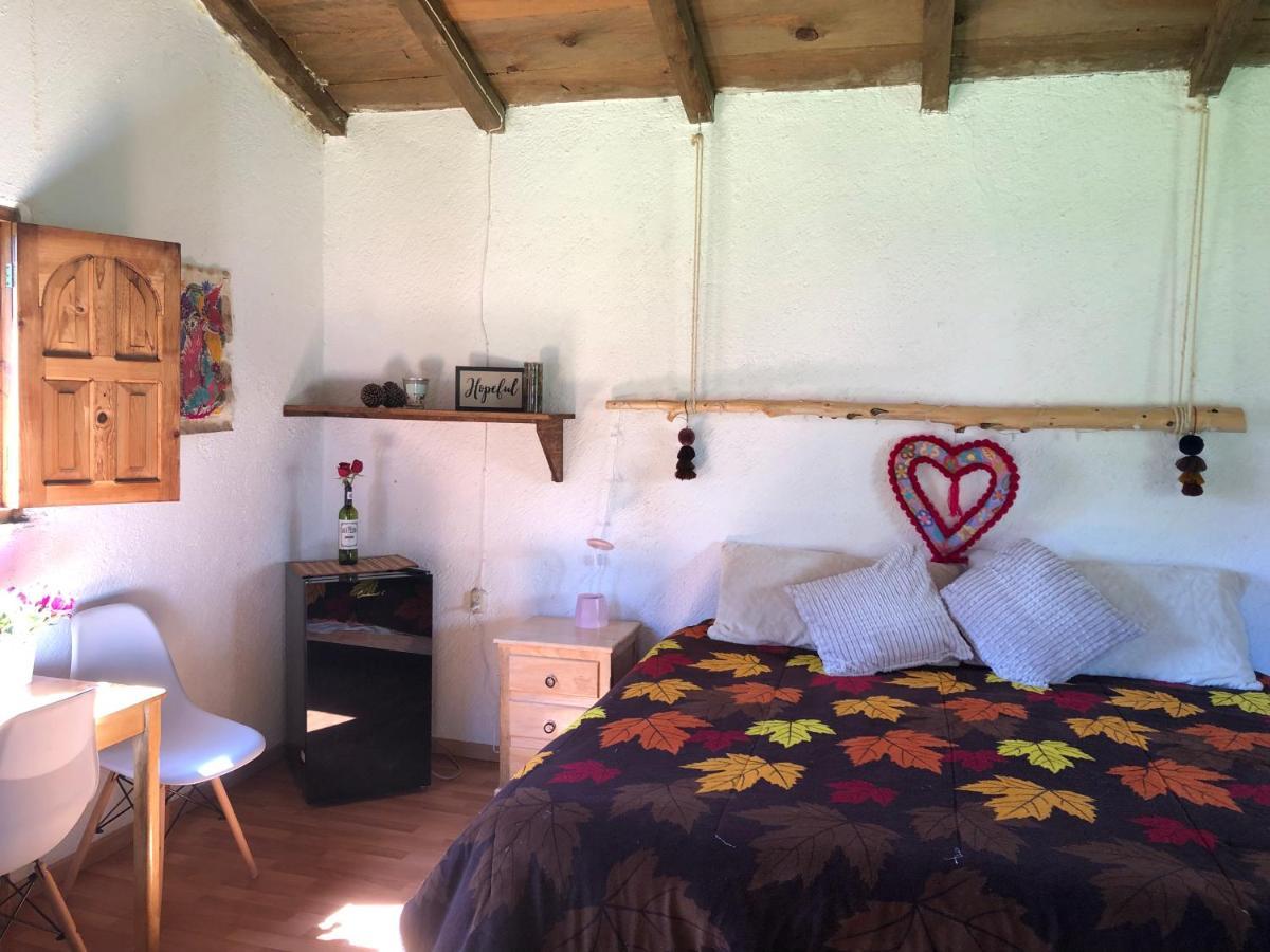 Hotel Gaia Nature San Cristóbal de Las Casas Esterno foto